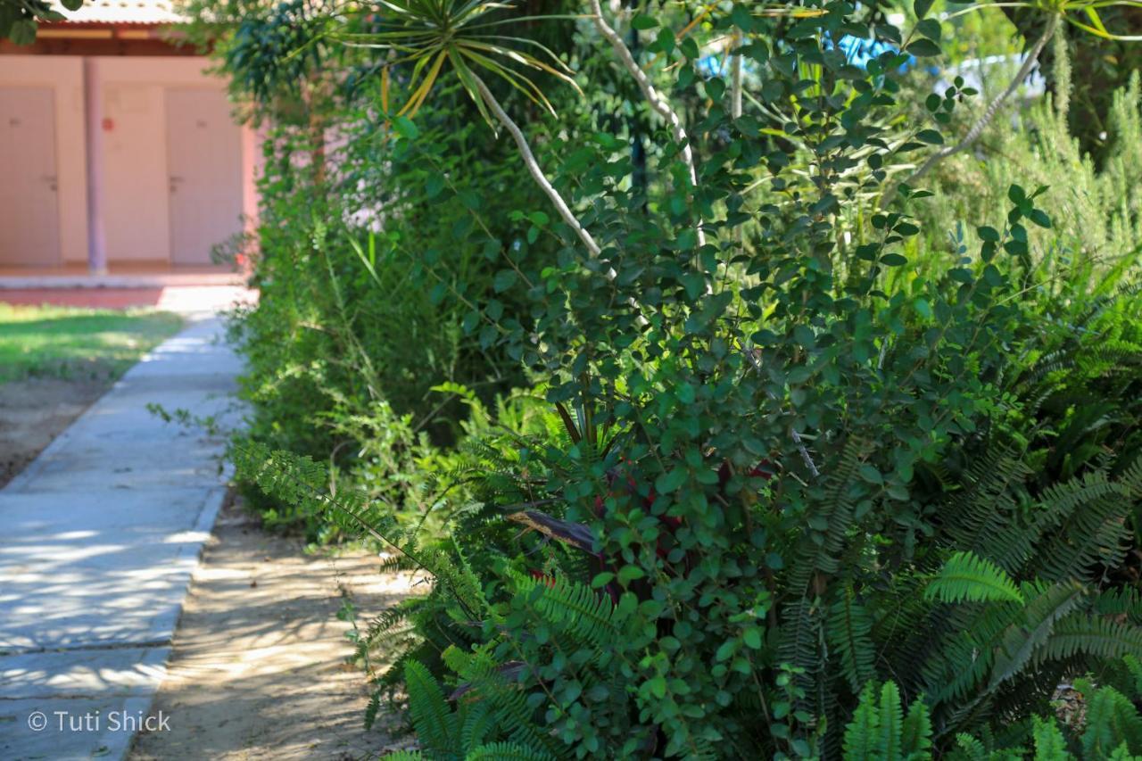 Mandara - Country Lodging Urim Exterior photo
